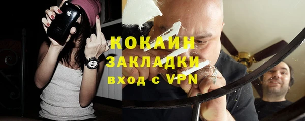 молекула духа Алексеевка