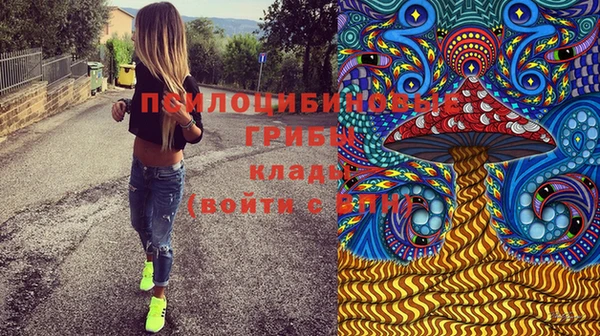 молекула духа Алексеевка