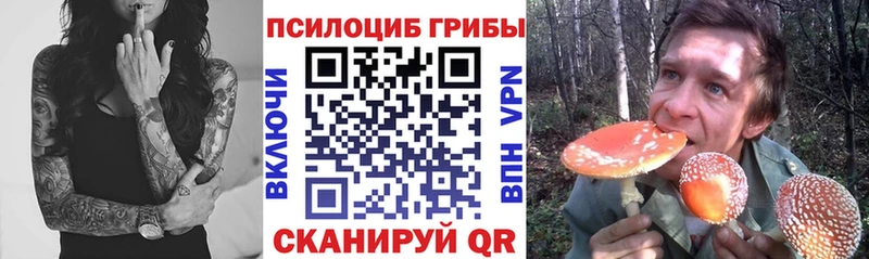 даркнет формула  Волхов  Псилоцибиновые грибы мицелий 
