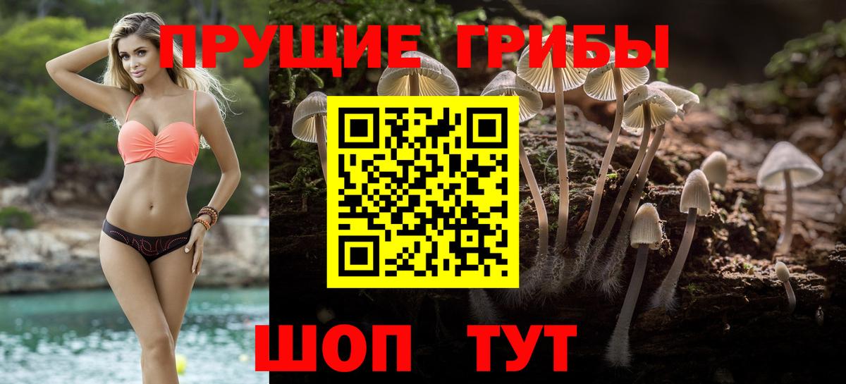 Псилоцибиновые грибы GOLDEN TEACHER Волхов